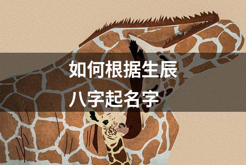 如何根据生辰八字起名字