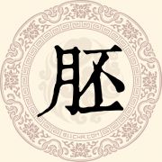 胚