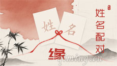 姓名配对